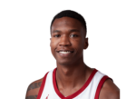 珀斯野猫