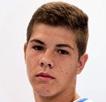 奥利简特