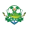 主队